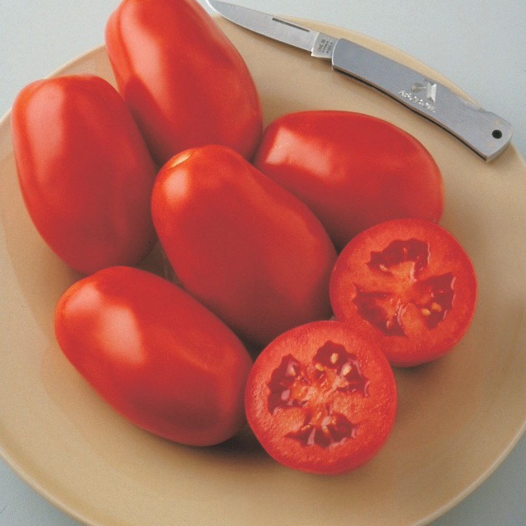 opendns dnscrypt tomato shibby